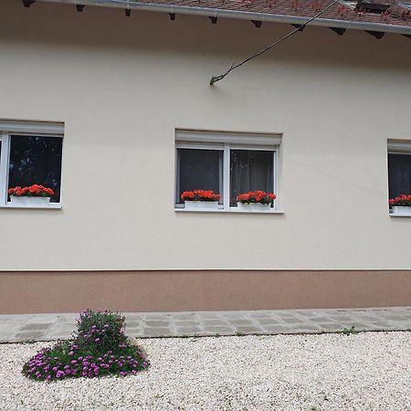 Bella Apartman Сегед Екстер'єр фото